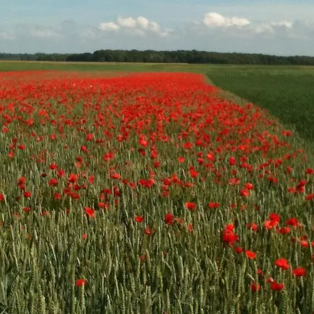 Vakantiehuis Les Roses Pendé
